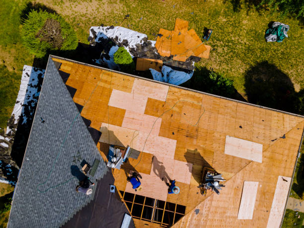 Best New Roof Installation  in Varnville, SC