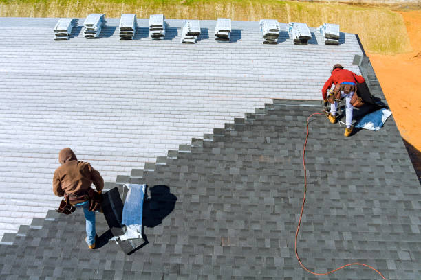 Best Roof Gutter Cleaning  in Varnville, SC